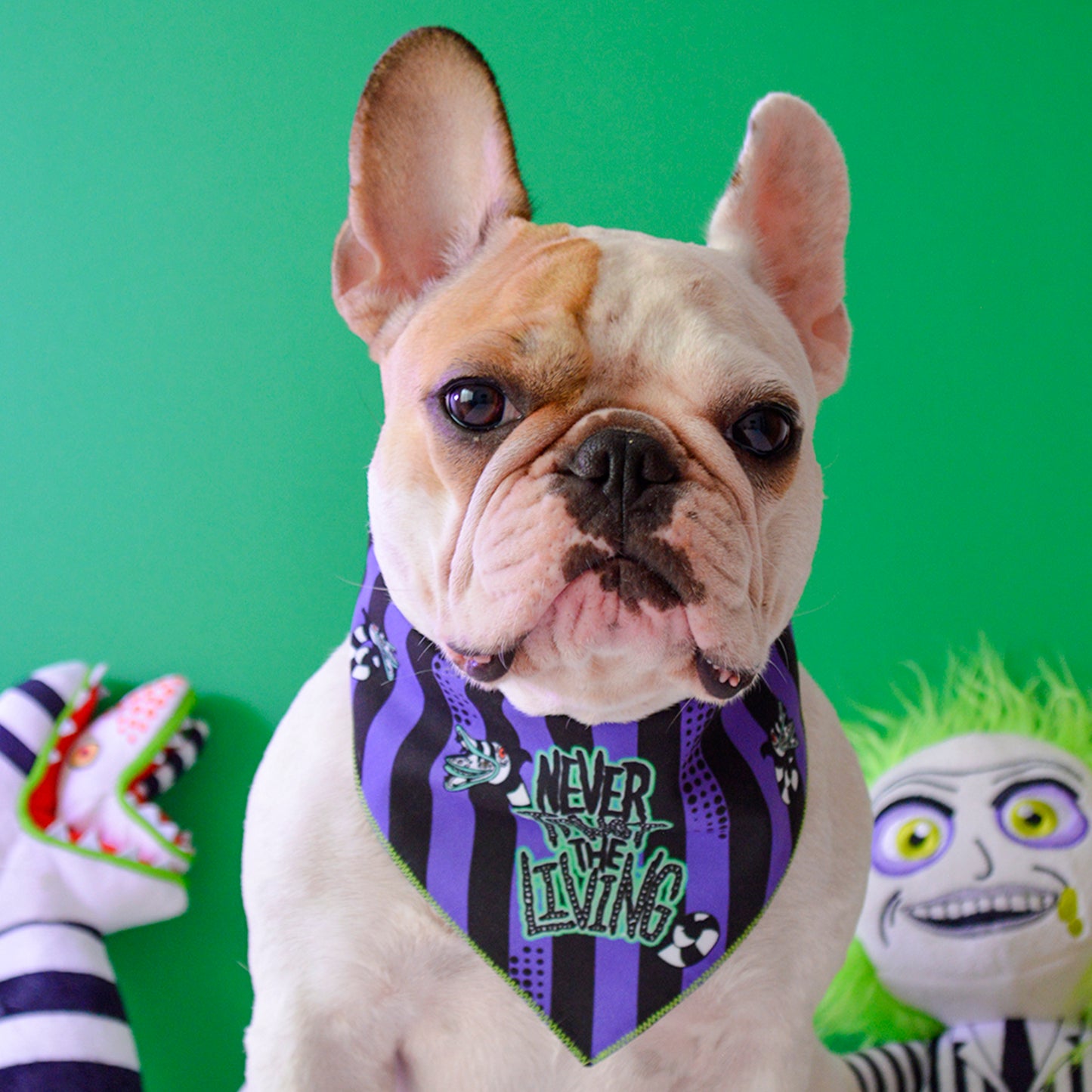 Beetlejuice Bandana