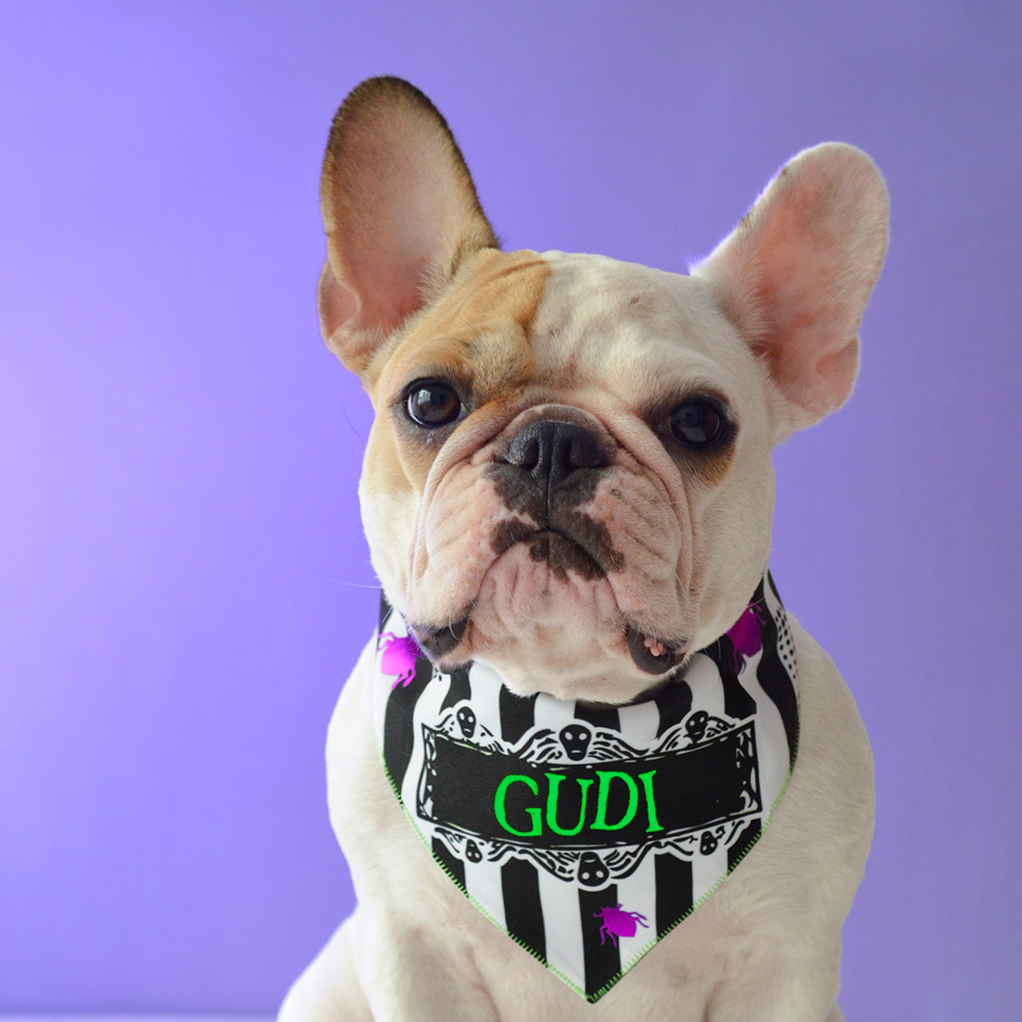 Beetlejuice Bandana