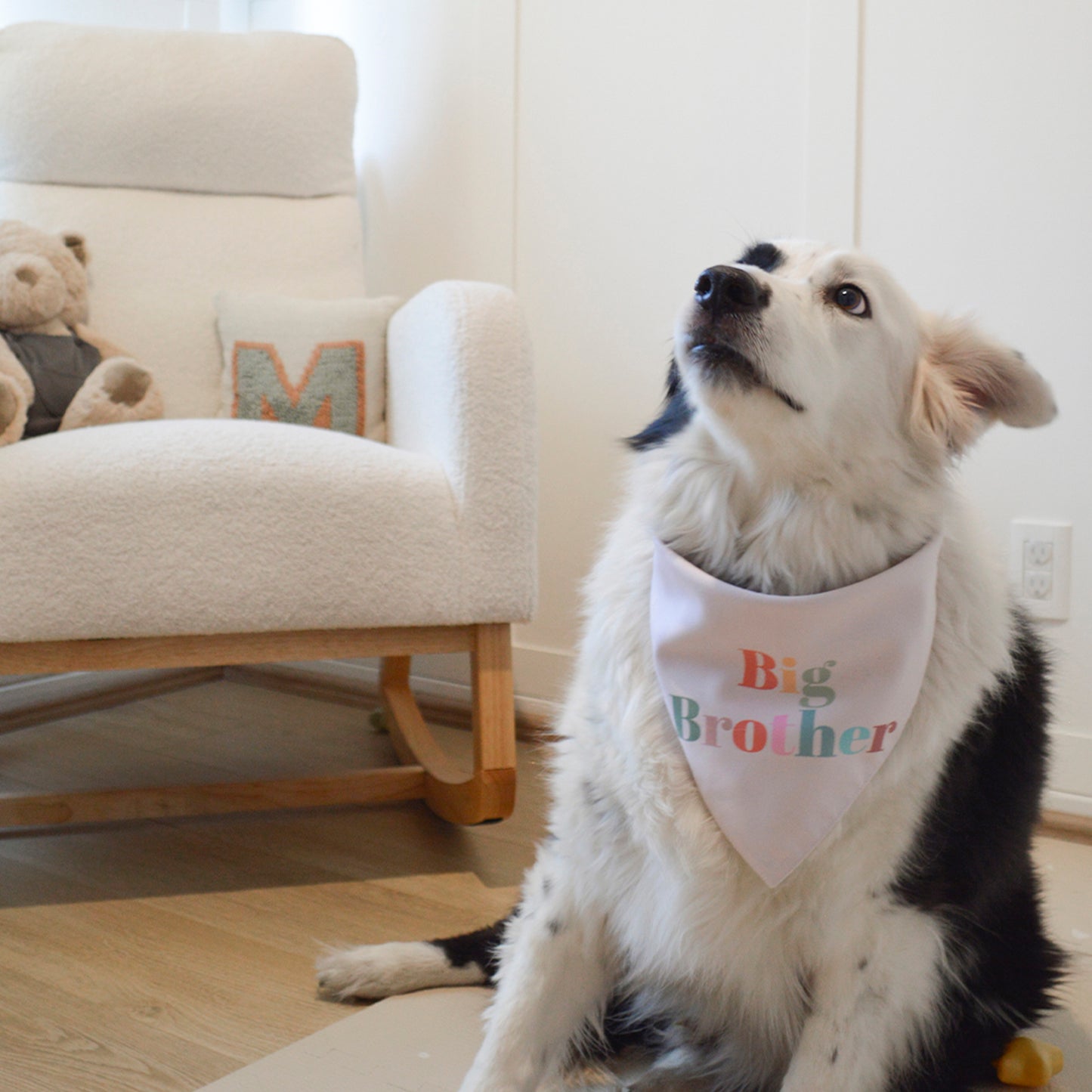 Big Brother-Big Sister Bandana