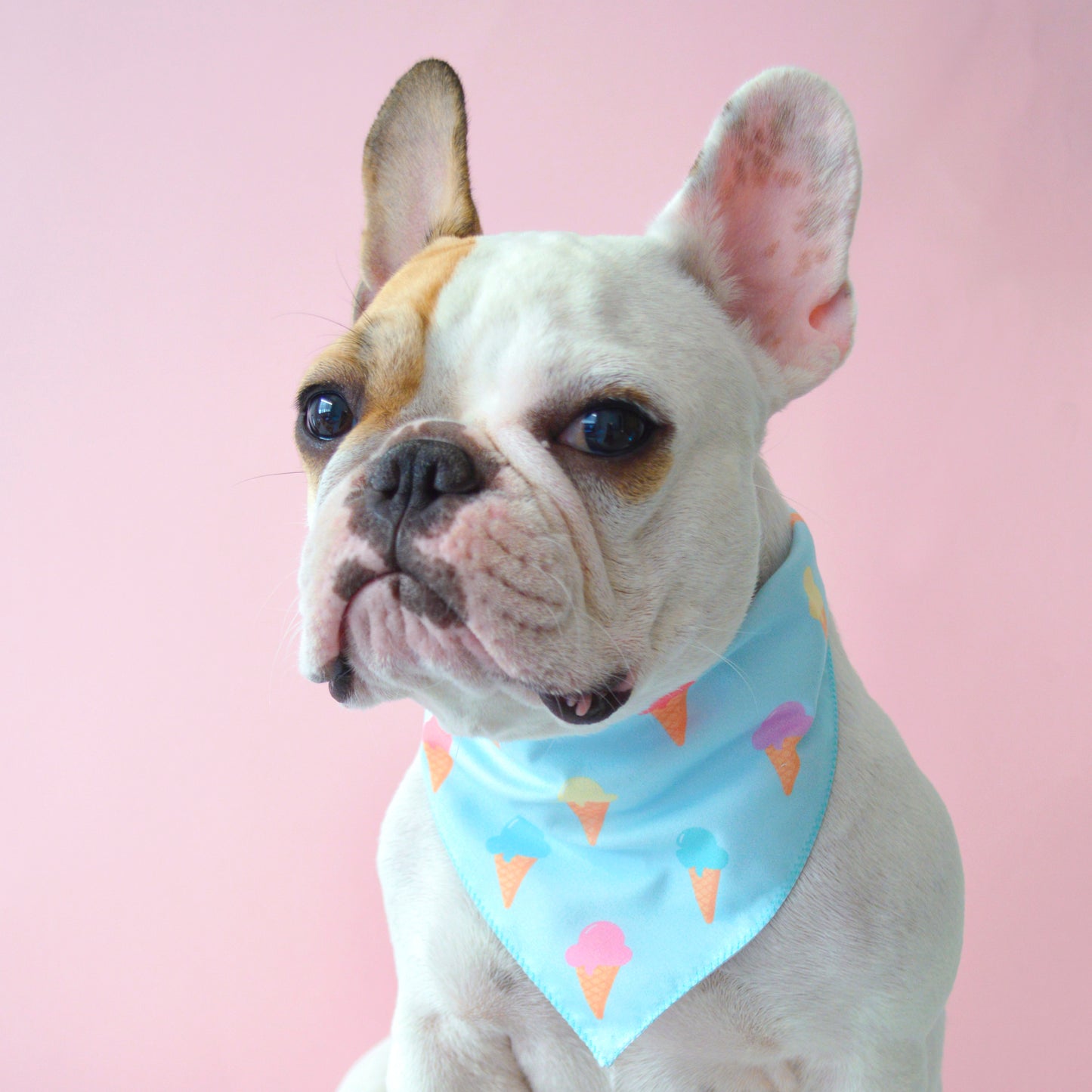 Ice Cream Bandana