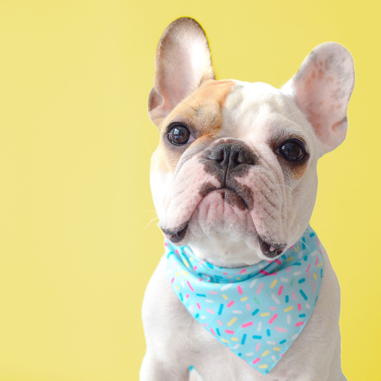 Sprinkles Blue Bandana