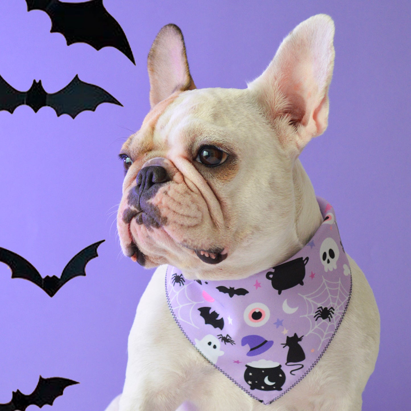 Witch Bandana