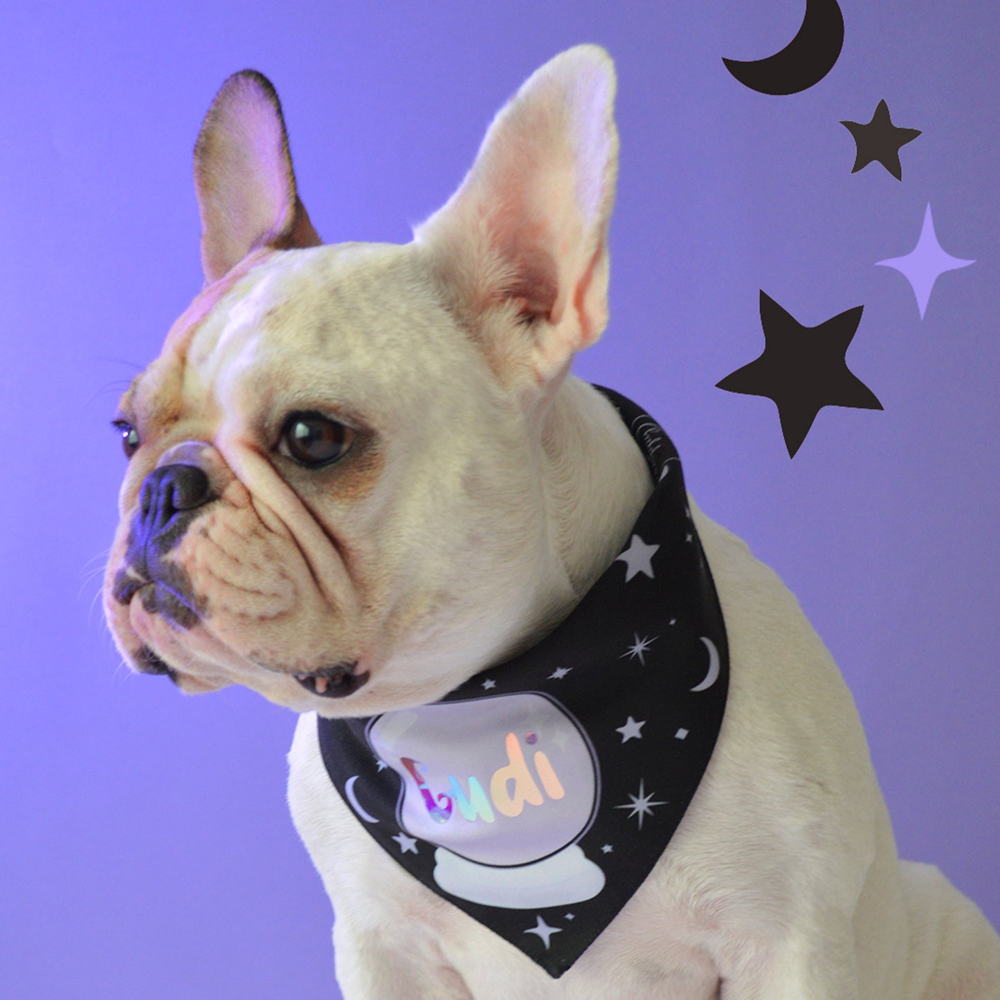 Witch Bandana