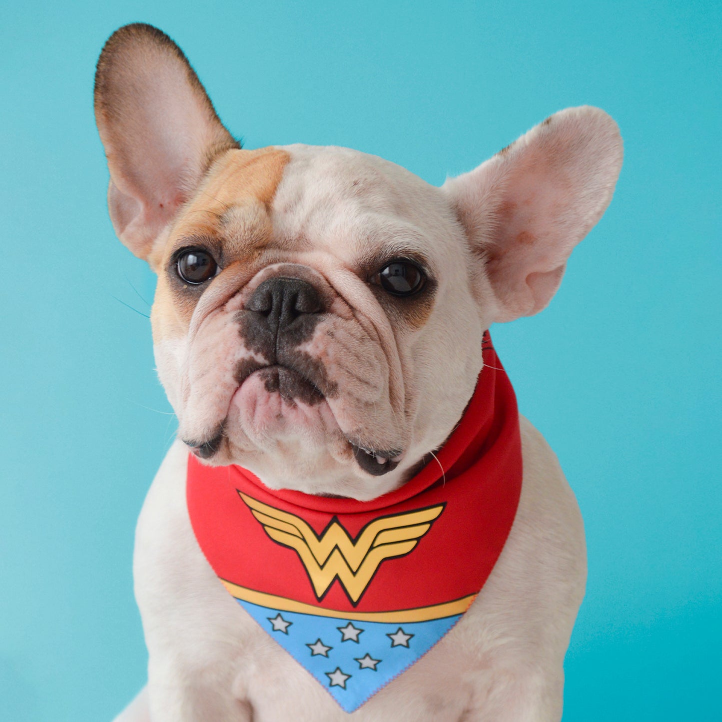 Wonder Bandana