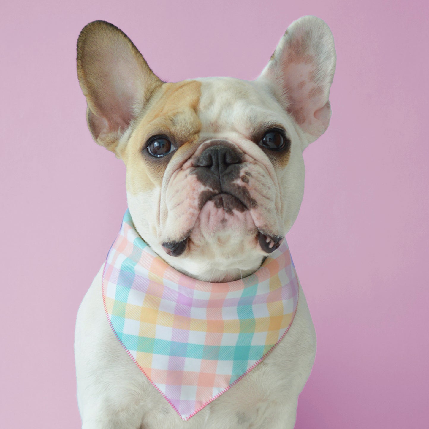 Blossom Picnic Bandana