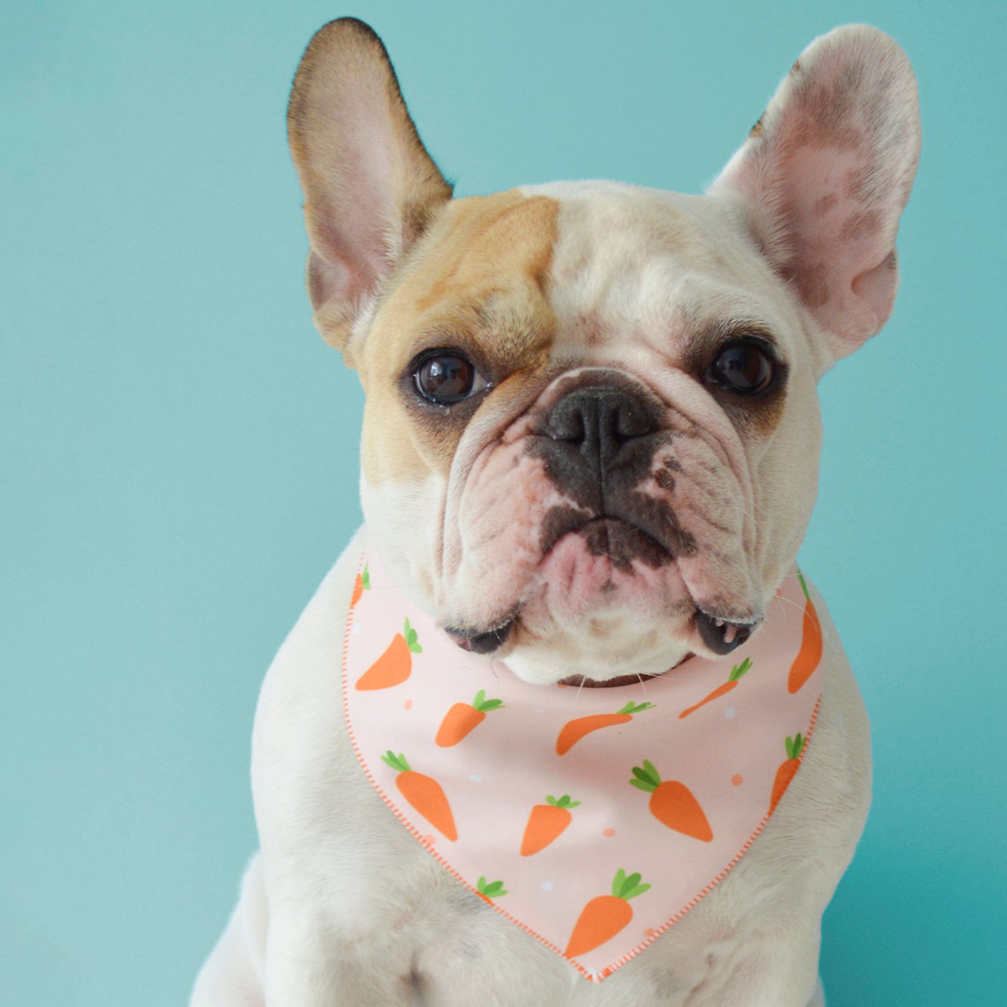 Harvest Picnic Bandana