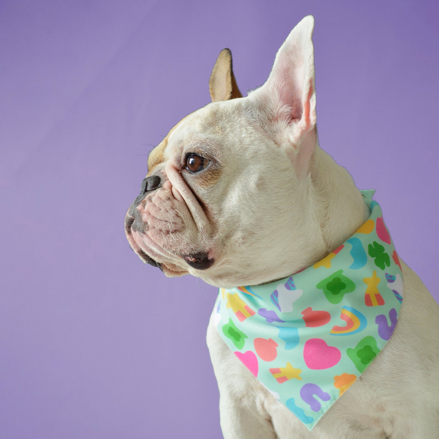 Lucky Charm Bandana