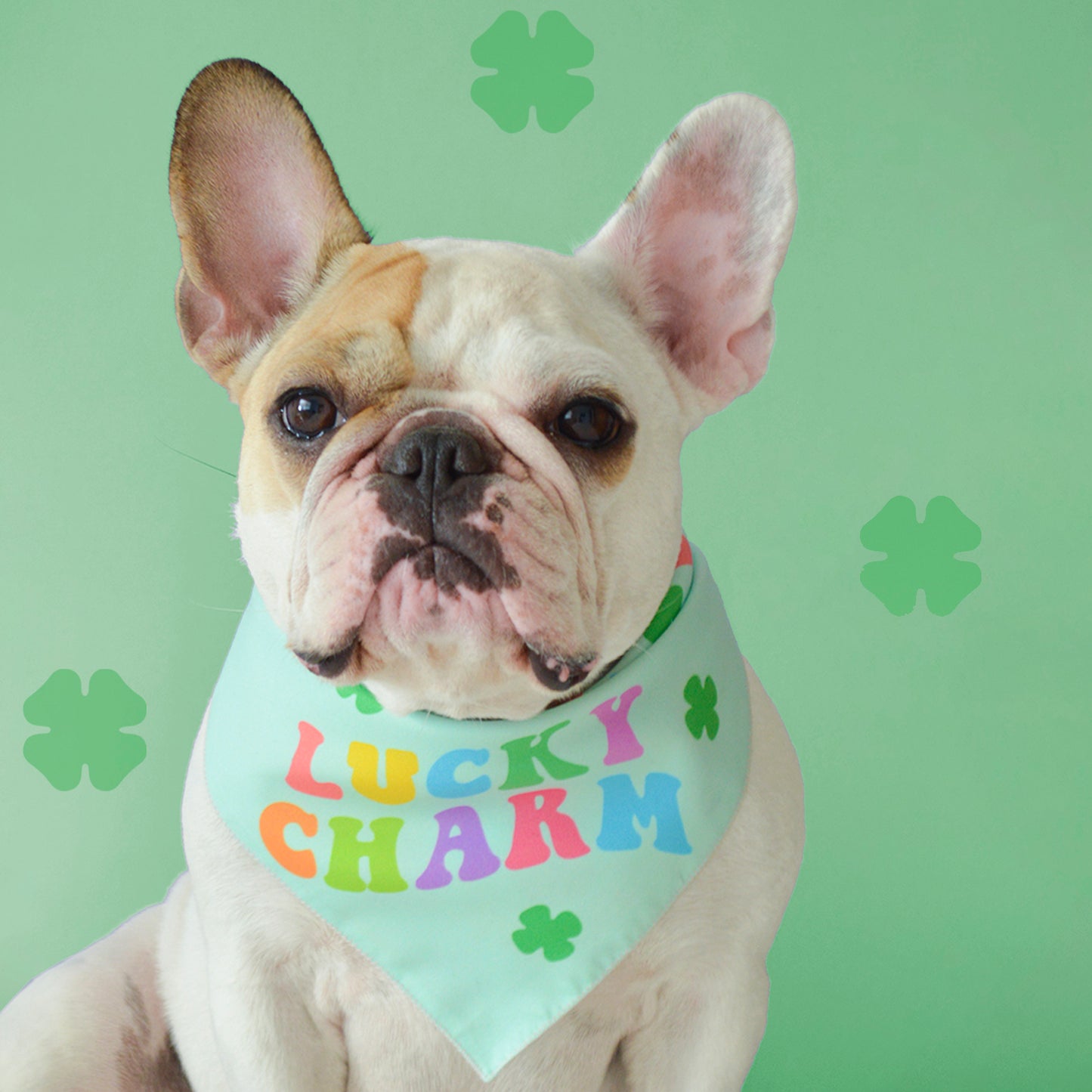 Lucky Charm Bandana
