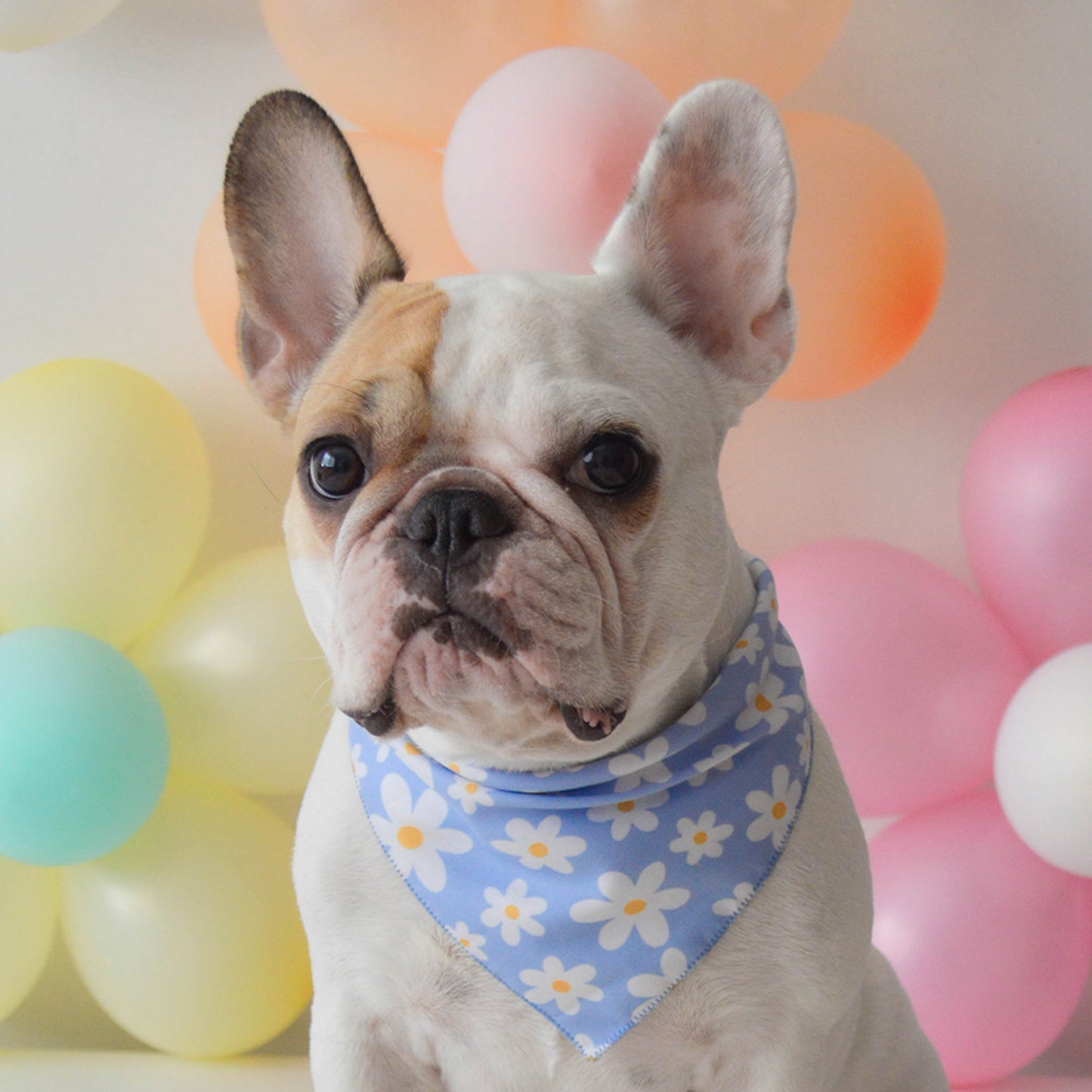 Margarita Bandana