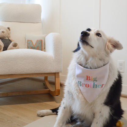 Big Brother-Big Sister Bandana