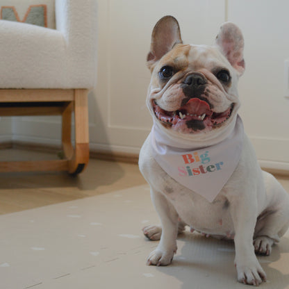 Big Brother-Big Sister Bandana