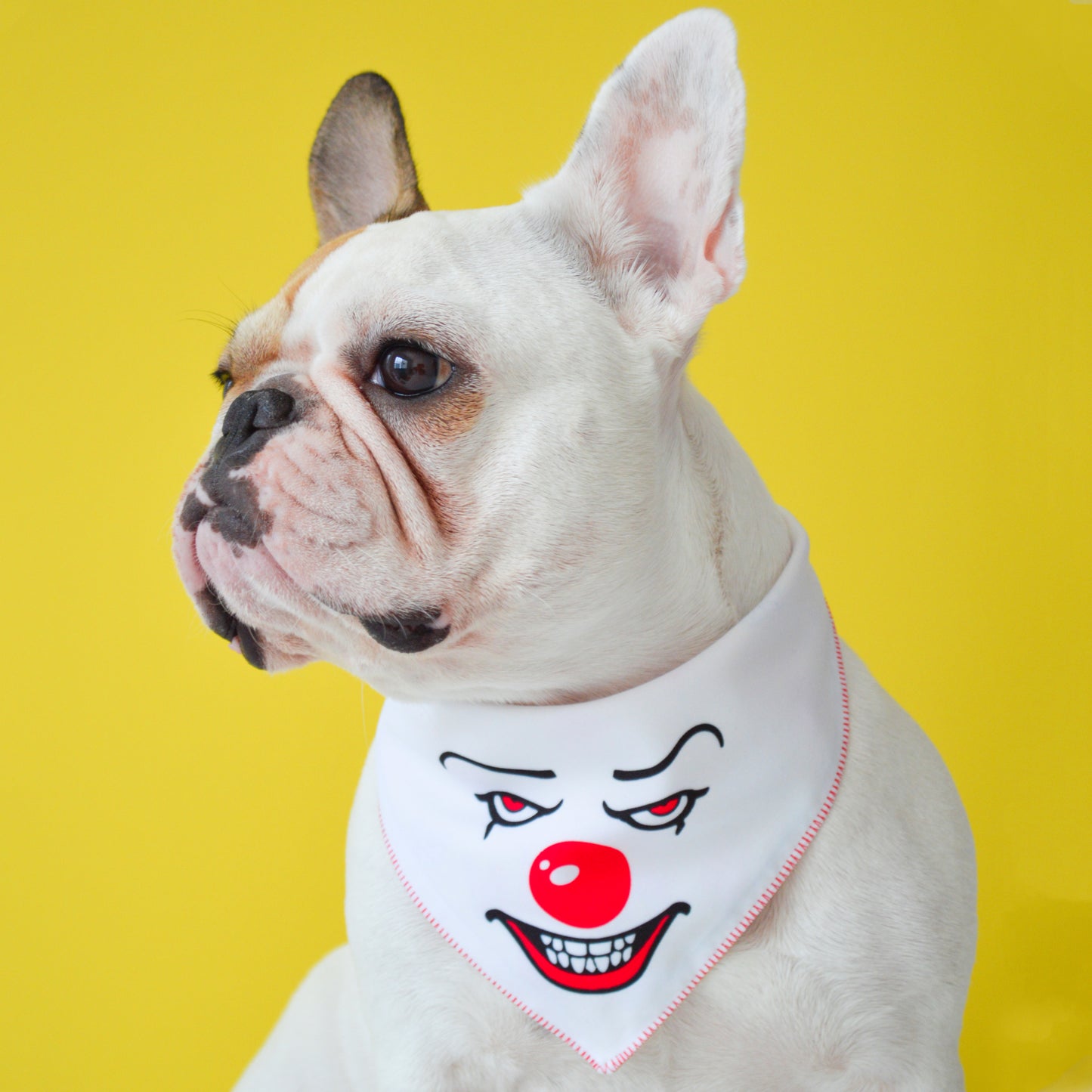 Pennywise Bandana