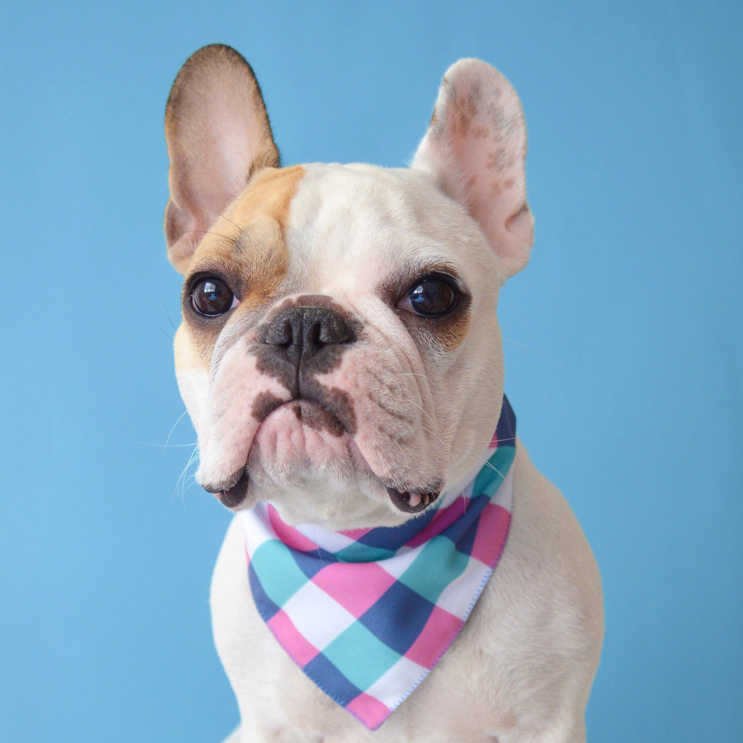 Girly Lumberjack Bandana