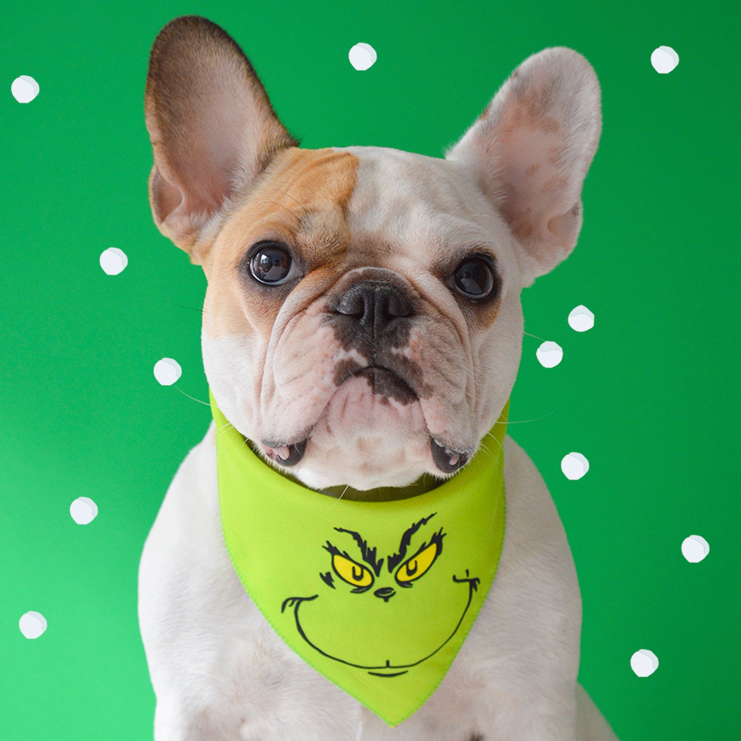 Grinch Bandana